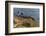 Lighthouse at Point Reyes National Seashore. California, USA-Chuck Haney-Framed Photographic Print