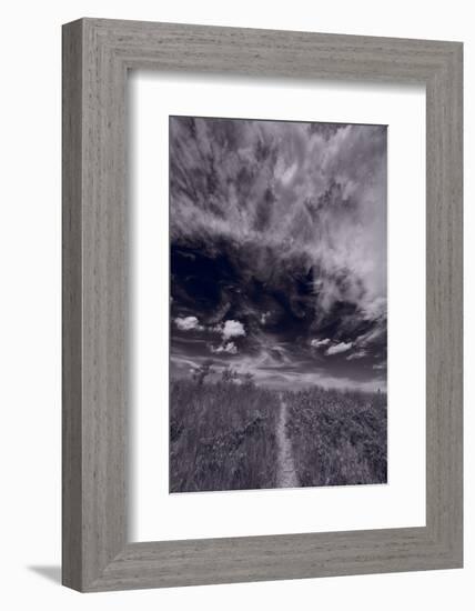 Lighthouse Beach Dunes BW-Steve Gadomski-Framed Photographic Print