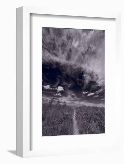 Lighthouse Beach Dunes BW-Steve Gadomski-Framed Photographic Print