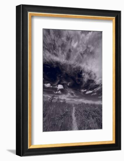 Lighthouse Beach Dunes BW-Steve Gadomski-Framed Photographic Print