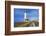 Lighthouse, Big Sur Coast, California-robert cicchetti-Framed Photographic Print