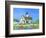 Lighthouse Cottage-Geraldine Aikman-Framed Giclee Print