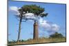 Lighthouse Darsser Ort Boat and "Windswept Trees" - Jaw on the Western Beach of Darss Peninsula,-Uwe Steffens-Mounted Photographic Print