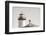 Lighthouse Fly Over-Nathan Larson-Framed Photographic Print