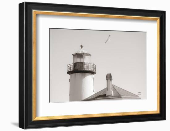 Lighthouse Fly Over-Nathan Larson-Framed Photographic Print