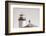 Lighthouse Fly Over-Nathan Larson-Framed Photographic Print