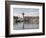 Lighthouse in Marina Vallarta, Puerto Vallarta, Mexico-Michael DeFreitas-Framed Photographic Print