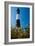 Lighthouse in the Marsh, Fire Island, New York-George Oze-Framed Photographic Print