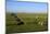 Lighthouse in the Wadden Sea National Park, Westerhever, Schleswig-Holstein, Germany, Europe-Hans-Peter Merten-Mounted Photographic Print