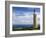 Lighthouse, Kangaroo Island, South Australia, Australia-Thorsten Milse-Framed Photographic Print