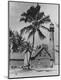Photographic Print