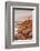 Lighthouse of Meen Ruz, Ploumanach, Cote De Granit Rose, Cotes D'Armor, Brittany, France, Europe-Markus Lange-Framed Photographic Print