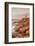 Lighthouse of Meen Ruz, Ploumanach, Cote De Granit Rose, Cotes D'Armor, Brittany, France, Europe-Markus Lange-Framed Photographic Print