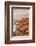 Lighthouse of Meen Ruz, Ploumanach, Cote De Granit Rose, Cotes D'Armor, Brittany, France, Europe-Markus Lange-Framed Photographic Print