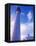 Lighthouse on Bermuda-Dennis Degnan-Framed Premier Image Canvas