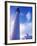 Lighthouse on Bermuda-Dennis Degnan-Framed Photographic Print