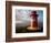 Lighthouse on Bluff Above Stykkisholmer, Iceland-Dave Bartruff-Framed Photographic Print