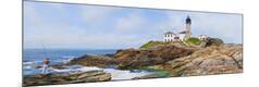 Premium Photographic Print