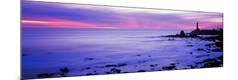 Premium Photographic Print
