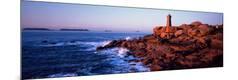 Photographic Print