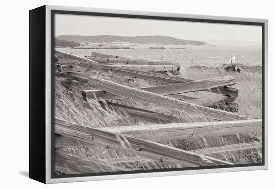 Lighthouse Path BW-Dana Styber-Framed Premier Image Canvas