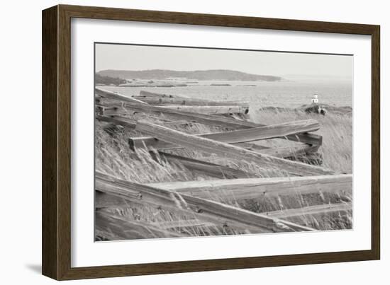 Lighthouse Path BW-Dana Styber-Framed Photographic Print