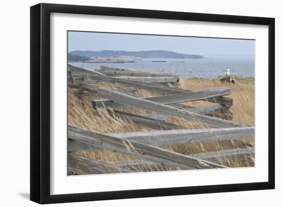 Lighthouse Path-Dana Styber-Framed Photographic Print