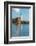 Lighthouse Reflection-Tim Oldford-Framed Photographic Print