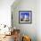 Lighthouse Scene III-Emily Kalina-Framed Art Print displayed on a wall