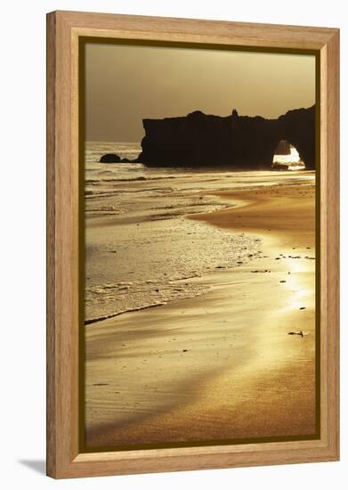 Lighthouse State Beach, Santa Cruz, California, United States of America, North America-Richard Cummins-Framed Premier Image Canvas