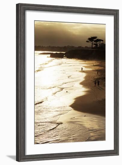 Lighthouse State Beach, Santa Cruz, California, United States of America, North America-Richard Cummins-Framed Photographic Print