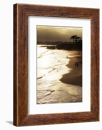 Lighthouse State Beach, Santa Cruz, California, United States of America, North America-Richard Cummins-Framed Photographic Print