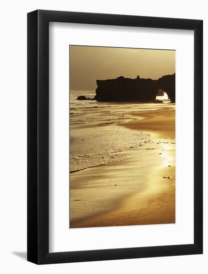 Lighthouse State Beach, Santa Cruz, California, United States of America, North America-Richard Cummins-Framed Photographic Print