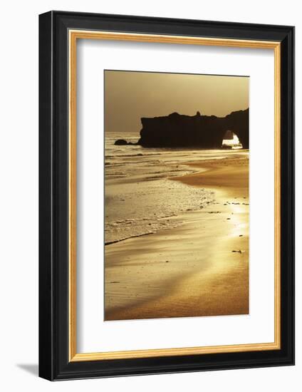 Lighthouse State Beach, Santa Cruz, California, United States of America, North America-Richard Cummins-Framed Photographic Print