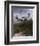 Lighthouse Terns II-Steve Hunziker-Framed Art Print