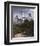 Lighthouse Terns II-Steve Hunziker-Framed Art Print