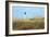 Lighthouse View-Gail Peck-Framed Photographic Print