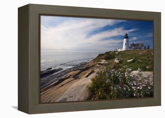 Lighthouse with Wildflowers Pemaquid Point Maine-George Oze-Framed Premier Image Canvas