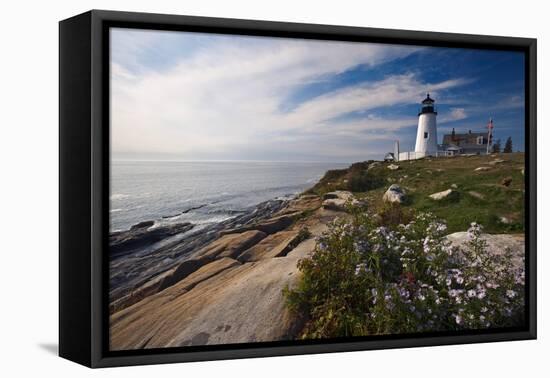 Lighthouse with Wildflowers Pemaquid Point Maine-George Oze-Framed Premier Image Canvas