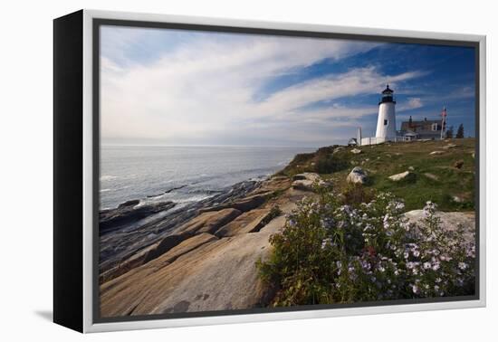 Lighthouse with Wildflowers Pemaquid Point Maine-George Oze-Framed Premier Image Canvas