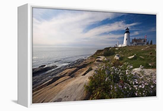 Lighthouse with Wildflowers Pemaquid Point Maine-George Oze-Framed Premier Image Canvas