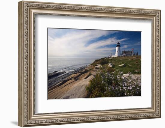 Lighthouse with Wildflowers Pemaquid Point Maine-George Oze-Framed Photographic Print