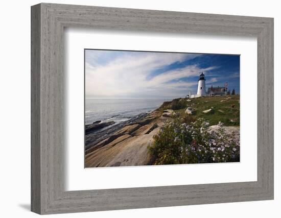 Lighthouse with Wildflowers Pemaquid Point Maine-George Oze-Framed Photographic Print