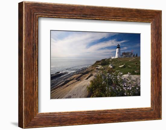 Lighthouse with Wildflowers Pemaquid Point Maine-George Oze-Framed Photographic Print