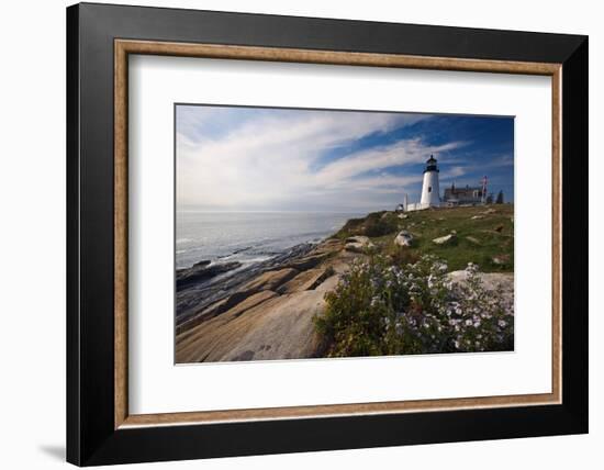 Lighthouse with Wildflowers Pemaquid Point Maine-George Oze-Framed Photographic Print