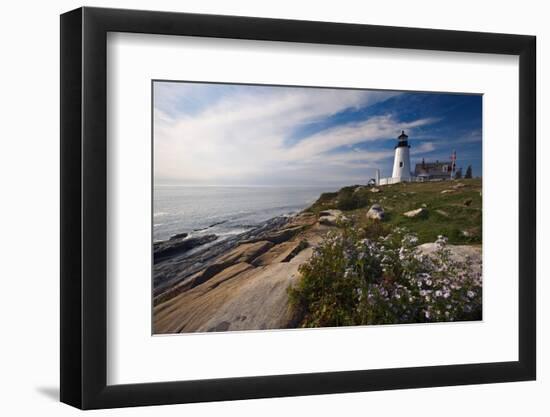 Lighthouse with Wildflowers Pemaquid Point Maine-George Oze-Framed Photographic Print