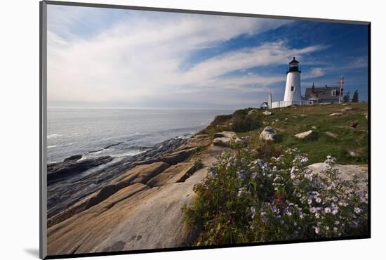 Lighthouse with Wildflowers Pemaquid Point Maine-George Oze-Mounted Photographic Print