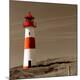 Premium Photographic Print