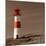 Lighthouse-null-Mounted Art Print