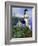 Lighthouse-Bonnie B. Cook-Framed Giclee Print